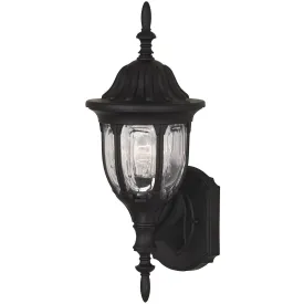 1-Light Outdoor Wall Lantern