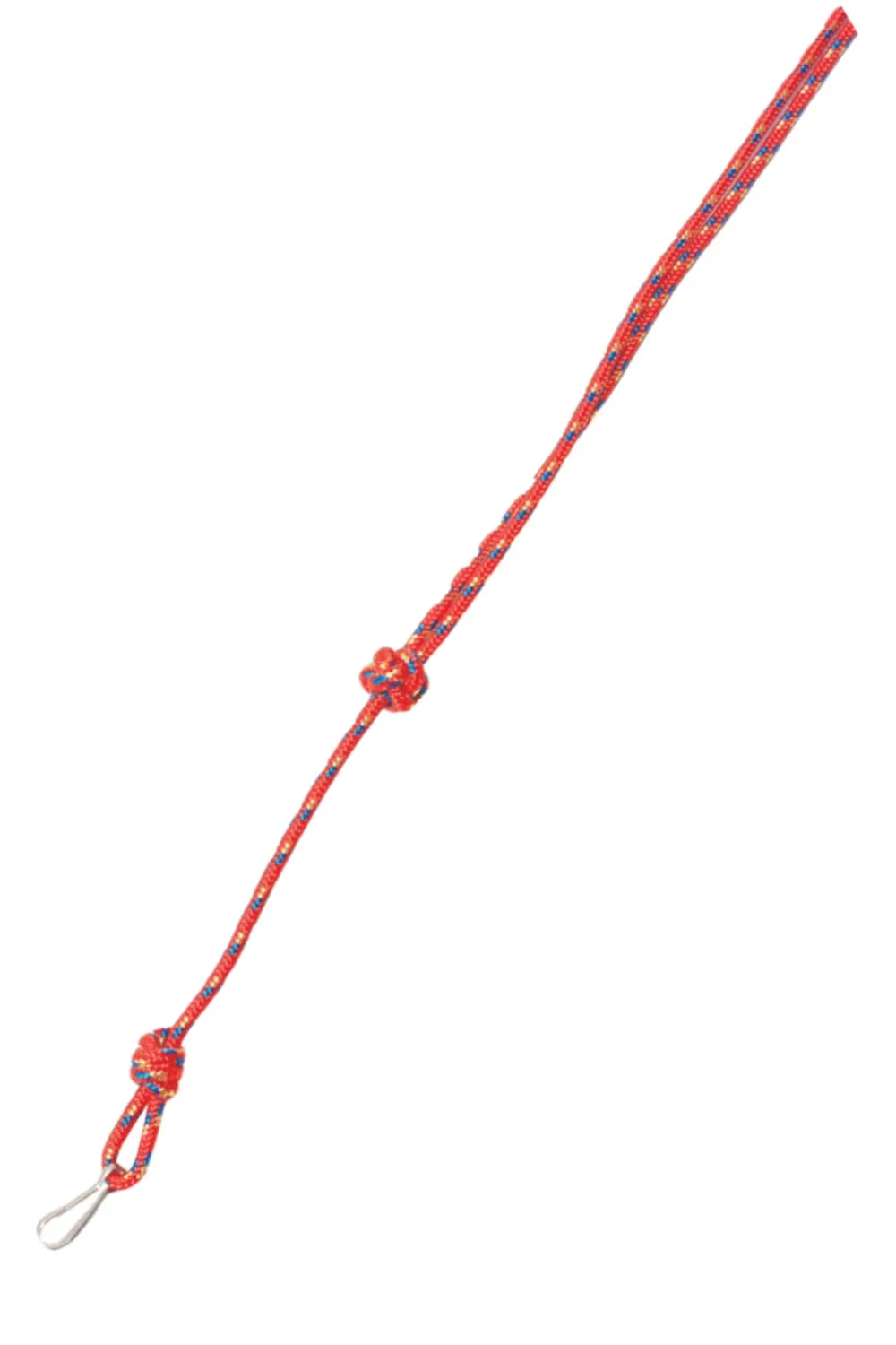 Bisley Multicoloured Lanyards