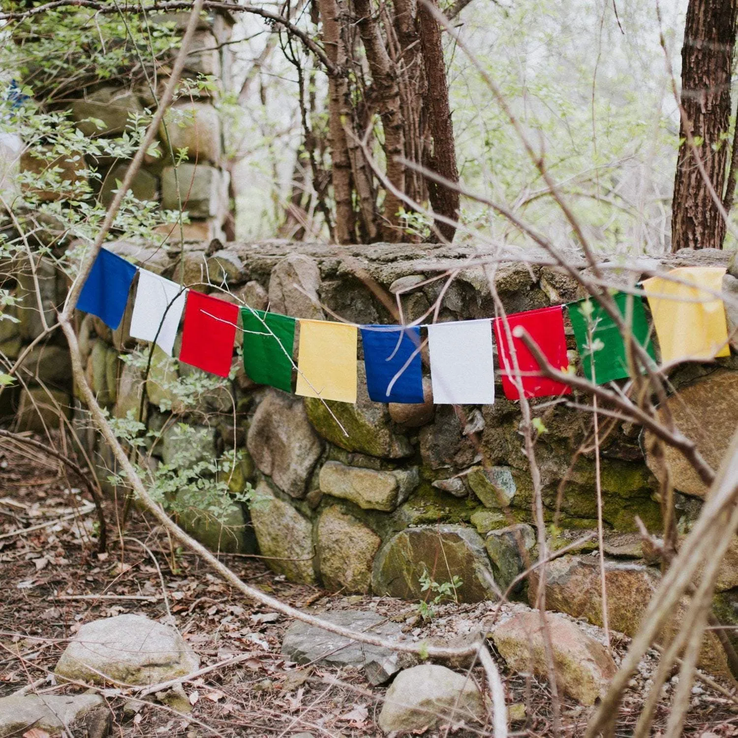 Blank Prayer Flags