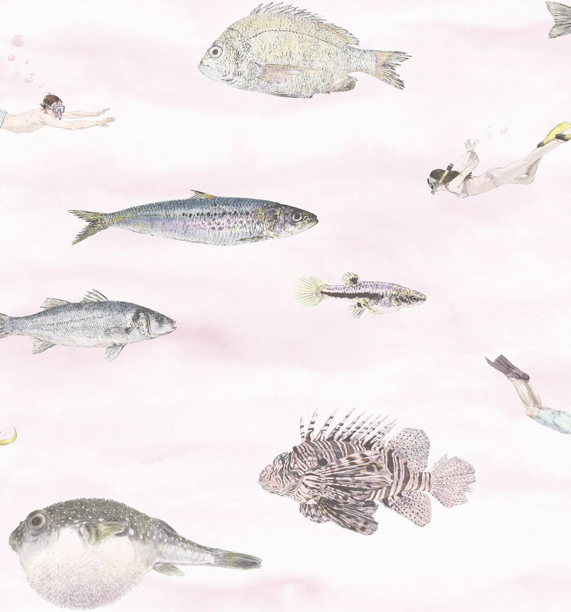 Classic Fish Wallpaper