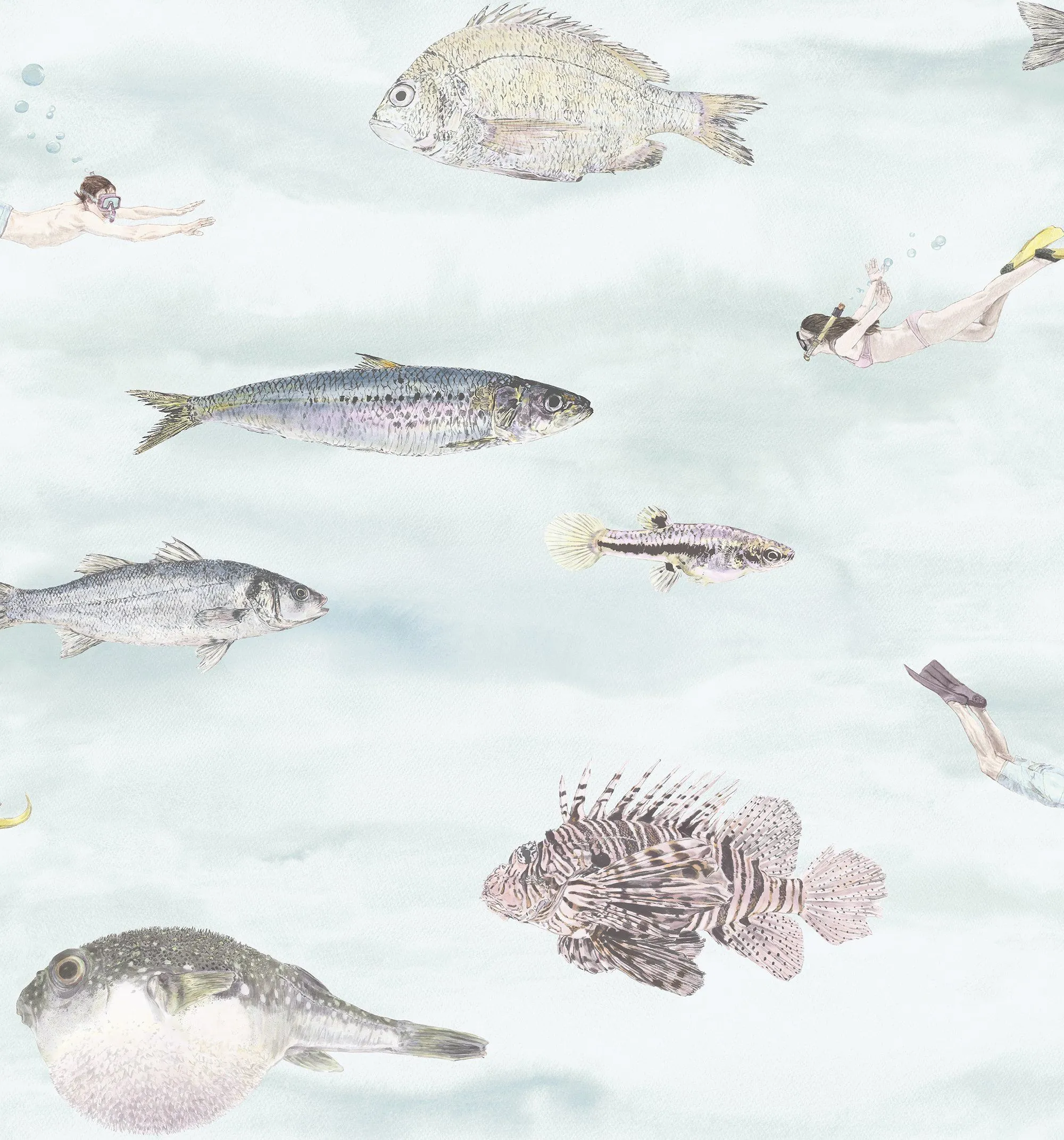 Classic Fish Wallpaper